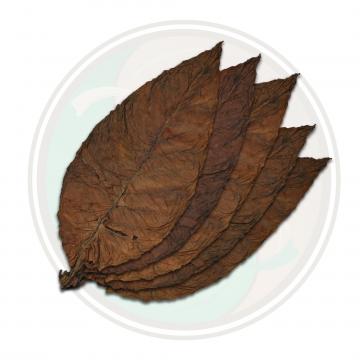 Brazilian Arapiraca Cigar Wrapper Whole Tobacco Leaf